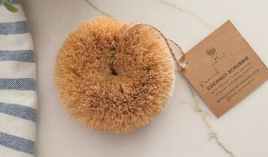 Round Coconut Brush