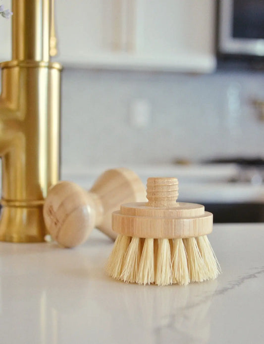 Modular Brush Replacement Head