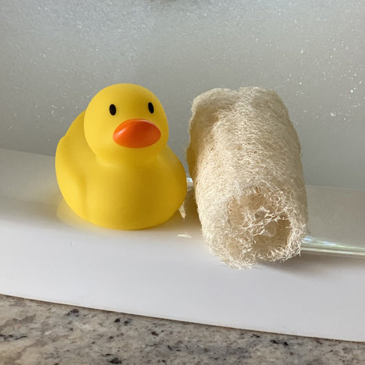 Loofah Sponge