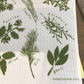 Three Bluebirds Swedish Dishcloth