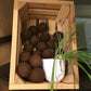 Alpaca Drier Balls