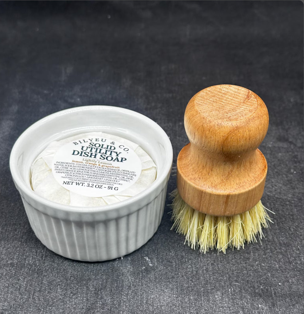 Dish Pucks small