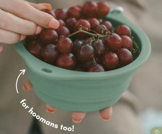 Collapsing Dog Bowl