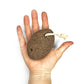 Pumice Stone